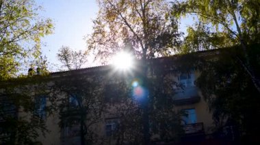 İyi bir hava açık havada ağaçlarda sonbahar renkli yeşillik ile güneş parlıyor 