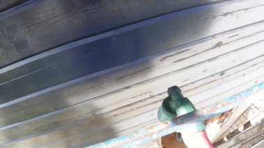 Siyah sprey boya kuru yaz hava dışında yükseklikte bir çubukla ahşap ev boyama