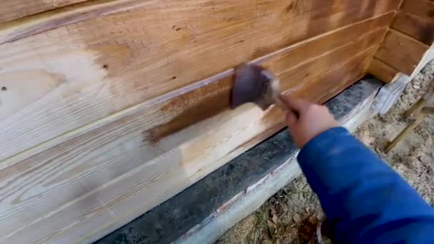 Linseed Oil Coating Painting Walls Wooden House Preservation Beauty Aesthetics — Stock Video