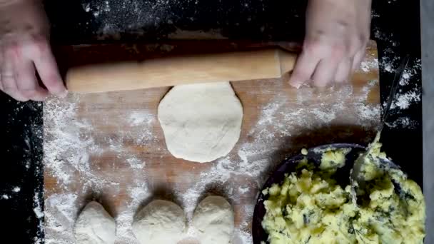 Lush Dough Roll Out Yeast Dough Make Pies Potatoes Onions — Stock Video