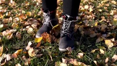 Park, sarı sonbahar yürüyüş hafif koşuya sonbahar günü sıcak üzerinde kontrol altında hışırtı bırakır 