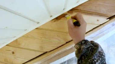 Keten tohumu yağı kaplama, koruma, güzellik ve estetik oturma evde çalışma şartları için ahşap bir ev duvarları boyama 