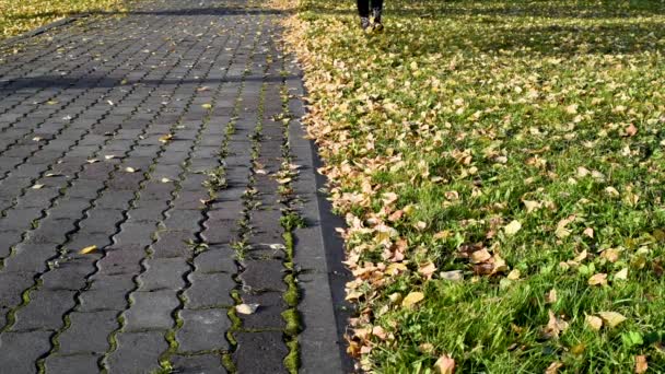 Wandeling Het Park Gele Herfst Bladeren Ritselen Met Voeten Treden — Stockvideo