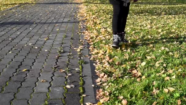 Caminar Por Parque Hojas Amarillas Otoño Crujiendo Bajo Los Pies — Vídeos de Stock