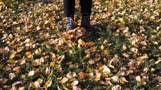 Walk Park Yellow Autumn Leaves Rustling Underfoot Light Jog Warm — Stock Video