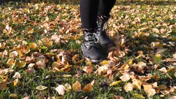 Séta Parkban Sárga Őszi Levelek Susogó Tiporva Egy Könnyű Lökés — Stock videók