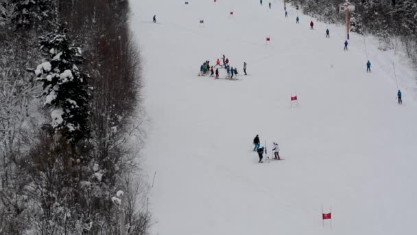 赤と青の旗の間の規則によって山をスキーのスラロームのカテゴリーで子供のスキー大会 — ストック動画