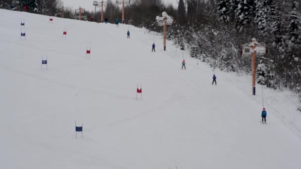 Детские Соревнования Катанию Лыжах Категории Слалом Правилам Между Красными Синими — стоковое видео