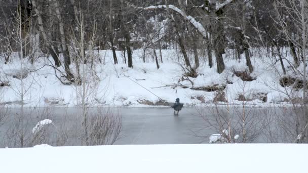 冬の川で釣りの漁師は 吹雪と雪に覆われた木の背景に暖かい服装 男は冷たい水で冬の魚をキャッチします — ストック動画