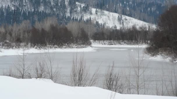 Winterlandschaft Fluss Gegen Verschneite Berge Nadelbäume Und Schneeverwehungen Sibirien Alaska — Stockvideo