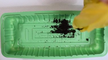 Siyah toprak Sarı paketinden tohum Ekim için tepsi içine atıldı. Verimli topraklar için iyi bir hasat domates, salatalık, turp ve diğer sebzeler ekili bitkiler dikim tohumları için tepsi koymak. Tohum Ekim için arazi 