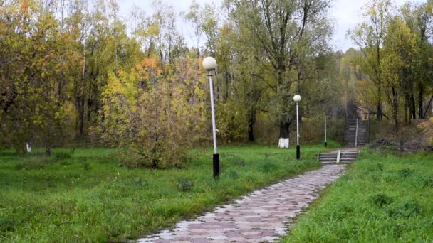 Parque Otoño Árboles Con Hojas Flores Amarillas Verdes Anaranjadas Balanceándose — Vídeo de stock