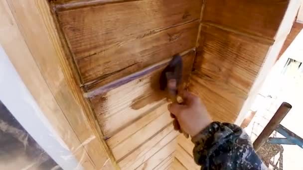 Rivestimento Olio Lino Dipingere Pareti Una Casa Legno Conservazione Bellezza — Video Stock