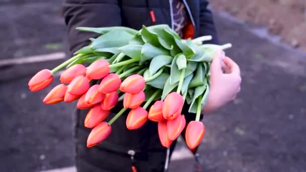 Tulpen Geschenk Mädchen Mädchen Trägt Jacke Mit Tulpen Den Händen — Stockvideo