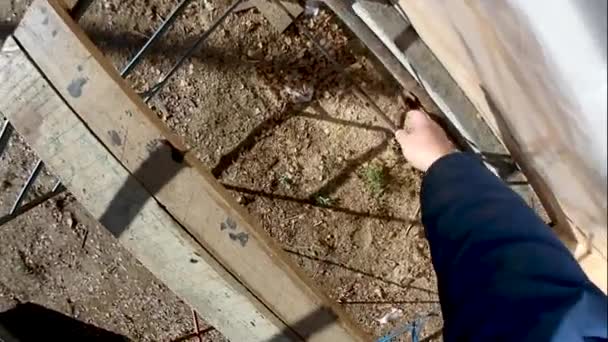 Revêtement Une Maison Bois Avec Huile Lin Avec Pinceau Spécial — Video