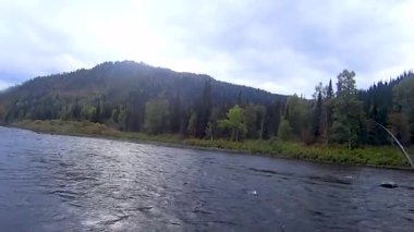 Olta balıkçılık nehirde, dağların karşı gün boyu bir yaz gününde yeşil ağaçlarıyla kaplı