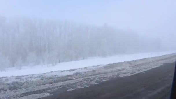 車に乗って速度で道路濃霧で冬の朝 道端の雪の中での木で覆われているし 雪のドリフトが 他の車 — ストック動画