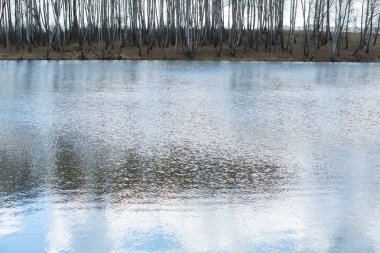 Diğer tarafta büyüyen su ağaçları ve küçük bir esinti su yüzeyinde ışık dalgaları ile mavi gökyüzü yansıyan ile baharda gölet