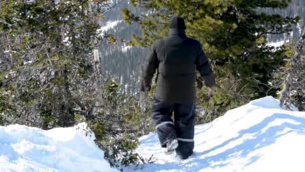 Muž Proplíží Závějemi Padá Stoupá Hlubokém Sněhu Lese Mezi Stromy — Stock video