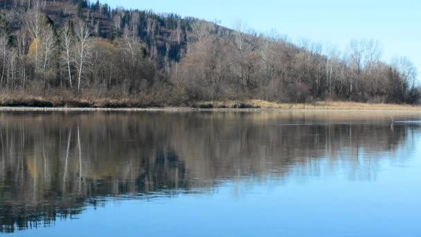 Fiume Acqua Dolce Con Una Corrente Che Riflette Cielo Con — Video Stock