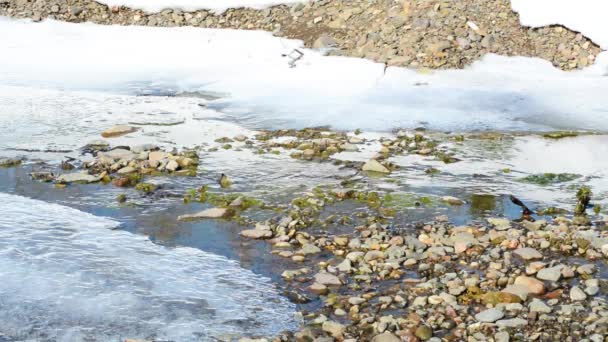 Primavera Fría Derrite Agua Fondo Del Hielo Nieve Con Hermosas — Vídeos de Stock