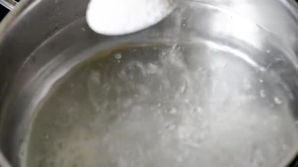 Ajouter Sel Eau Bouillante Faire Cuire Soupe Autres Options Cuisson — Video