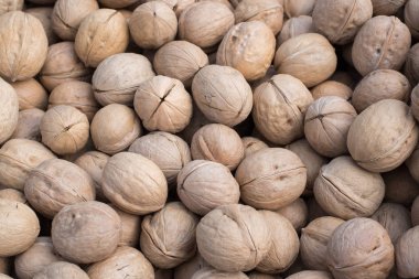 Bir kabuk seçilen ceviz gün ışığında masada yalan Büyük ceviz doğal ışık