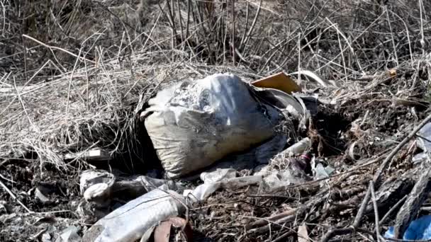 Ongeoorloofde Dumping Van Huishoudelijk Bouwafval Natuurlijke Omgeving Vervuiling Van Bossen — Stockvideo