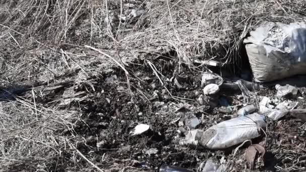 Déversement Non Autorisé Déchets Ménagers Construction Dans Milieu Naturel Pollution — Video