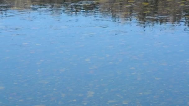 Våren Höst Floden Bland Bergen Och Bosättningar Bakgrund Blå Grumlig — Stockvideo