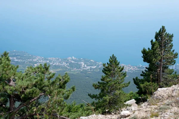 The sea and the city from the mountains from the bird\'s eye view of the beautiful blue sea of water reflecting the clouds on the background of green mountains and South of the city Sea city on the background of greenery and the sea in the afternoon o
