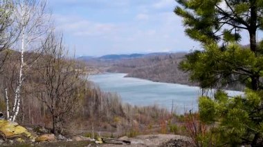 Yeşil ağaçların arka planında buzla kaplı dağ gölü ve bahar ın kaynağına kadar uzanan çiçekli söğüt dağ masifi. Sıcak Güneşli havalarda bir dağ gölünün arka planda çiçek tomurcukları ve yaprakları 