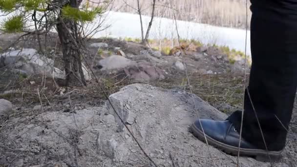 Woman Walking Road Forest Stumbles Stones Blue Shoes Spring Close — Stock Video