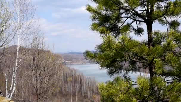 Mountain Lake Covered Ice Background Green Trees Flowering Willow Mountain — Stock Video