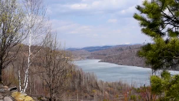 山湖覆盖着冰 背景是绿树和盛开的柳树 绵延至远处的春天 在温暖的阳光天气中 在山湖的背景上开花的芽和叶子 — 图库视频影像