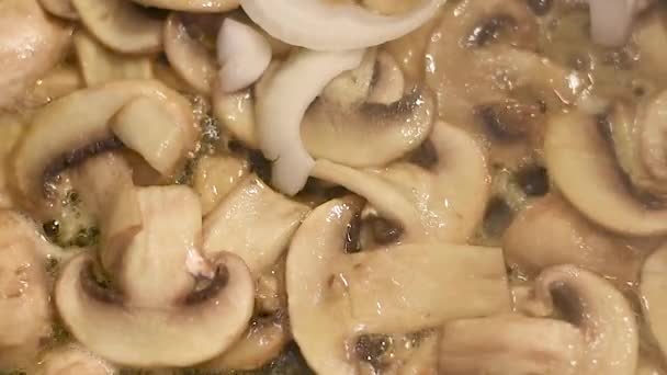 Funghi Fritti Padella Nel Burro Riscaldato Con Cipolle Pepe Funghi — Video Stock