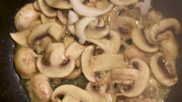 Mushrooms Fried Pan Heated Butter Onions Pepper Mushrooms Process Stewing — Stock Video