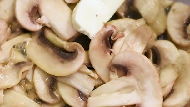 Champignons Gebakken Een Pan Verwarmde Boter Met Uien Peper Paddestoelen — Stockvideo