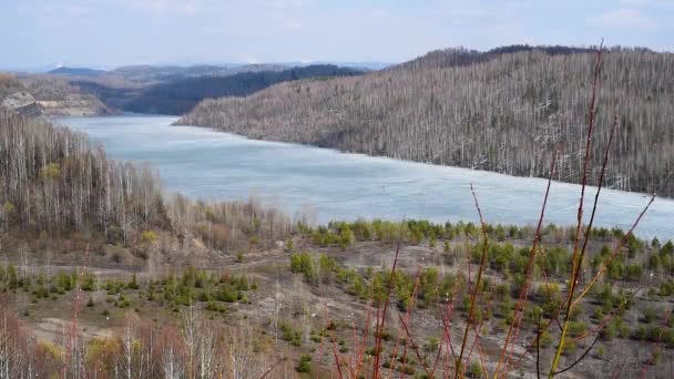 春だ山の湖を背景に芽や葉を咲かせます 緑の木々を背景に氷で覆われた山の湖と遠くに伸びる柳山塊 — ストック動画