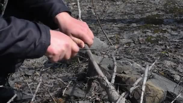 生存在森林里 用小折叠刀锯干树枝烧柴火 在春天的户外 男人用折叠刀锯树枝 — 图库视频影像