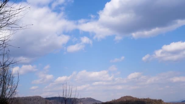 Облака Голубом Небе Весной Теплый День Фоне Начала Цветения Деревьев — стоковое видео