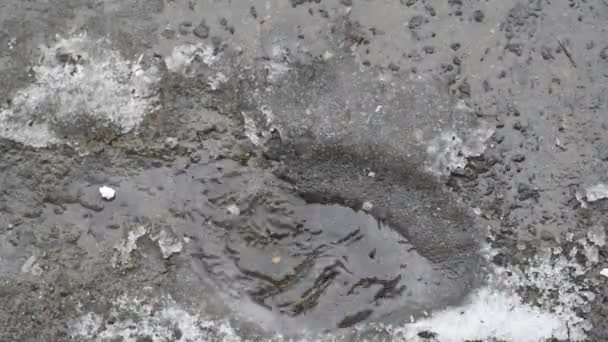Krople Topnienia Wody Wiosnę Spadnie Góry Tworząc Kałuża Wiosną Śnieg — Wideo stockowe