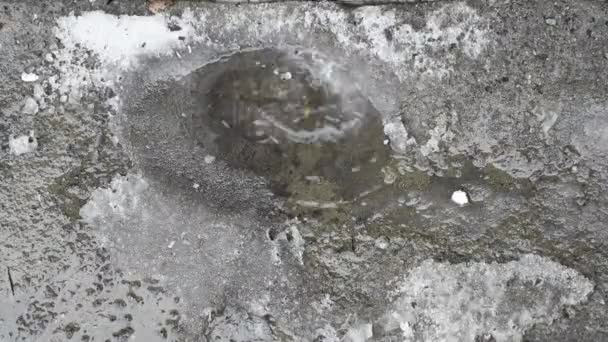 Baharda Eriyen Damlaları Yukarıdan Düşer Bir Birikintisi Oluşturur Lkbaharda Kar — Stok video