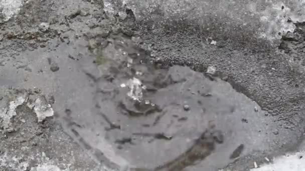 Gotas Agua Derretida Otoño Primavera Desde Arriba Formando Charco Primavera — Vídeo de stock