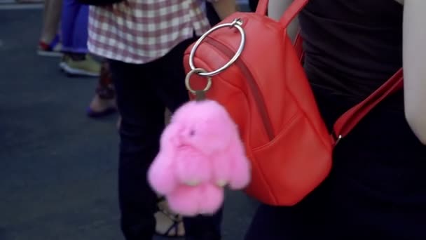 Mochila Mochila Vermelha Com Brinquedo Bugiganga — Vídeo de Stock