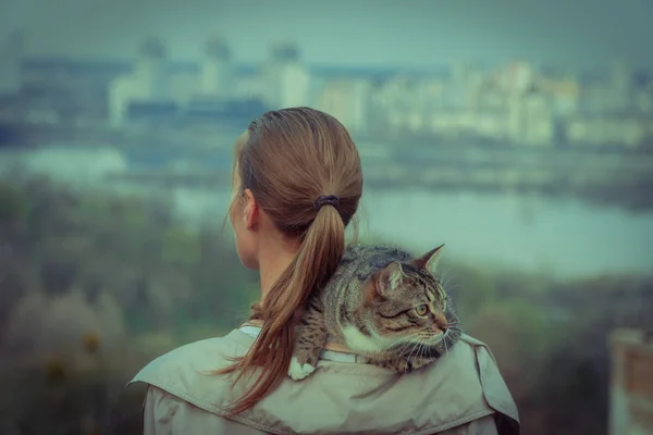 Kočka Vodítku Dívka Chodí Kočkou Která Umístěna Rameni — Stock fotografie