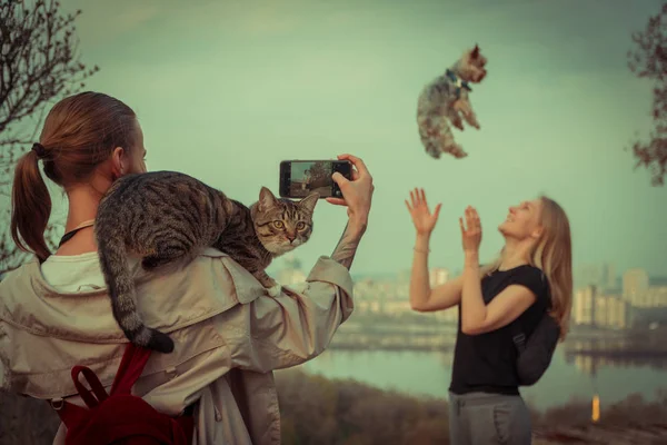 Selfy Bir Kız Bir Köpek Bir Kız Ile Bir Kedi — Stok fotoğraf
