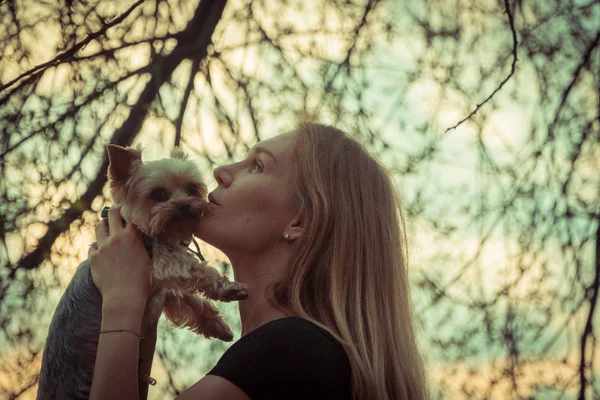 ヨークシャー テリア 犬種ヨークシャー テリアを抱いて女の子 — ストック写真