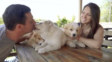 Köpek yavrusu Alabai. Bir adam ve bir kız Alabai kukla sarılmak