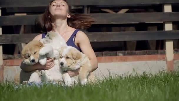 Filhote Cachorro Alabai Menina Abraça Filhotes Alabai — Vídeo de Stock